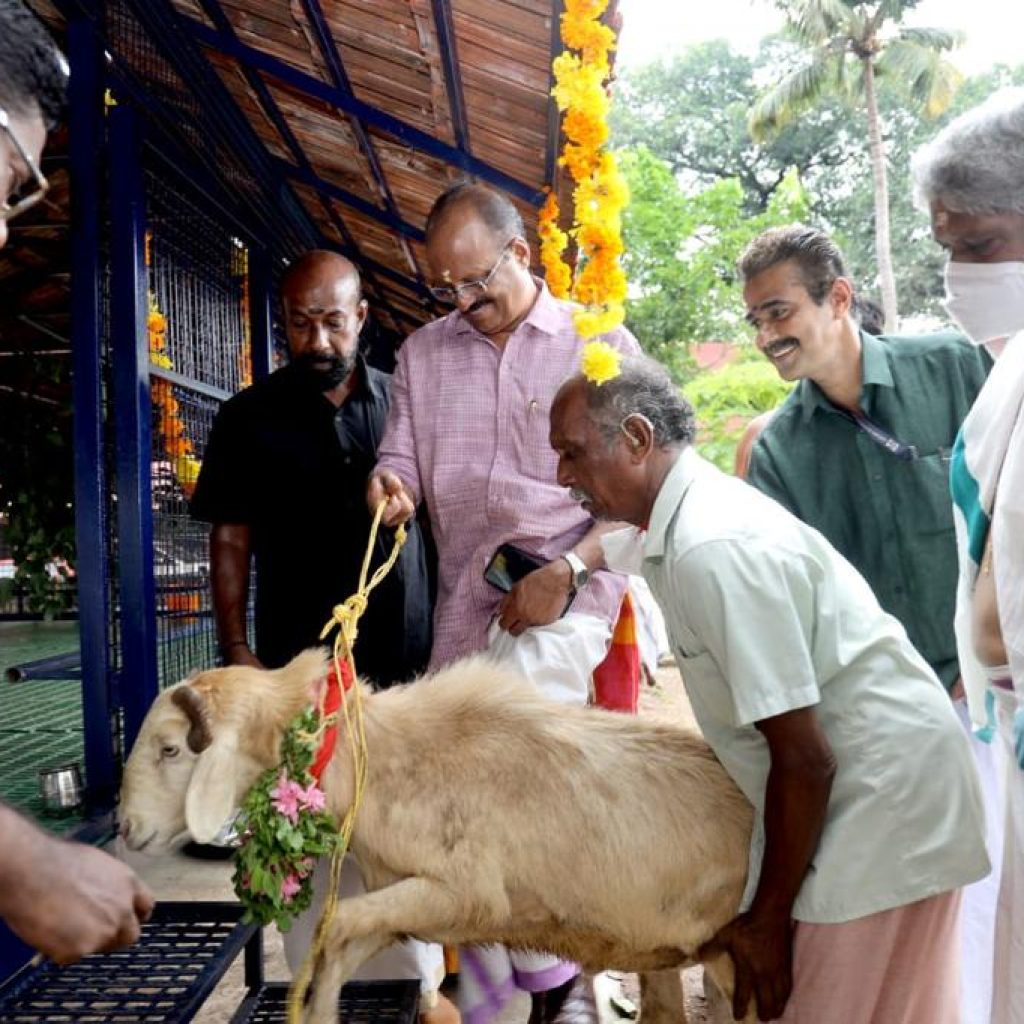 Towards Equal Foundation