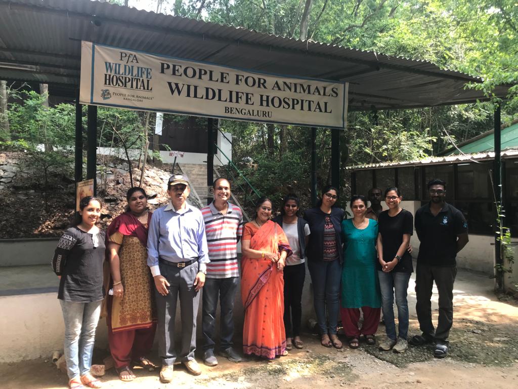 Towards Equal Foundation