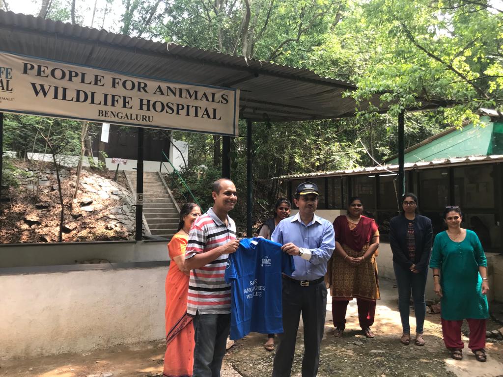Towards Equal Foundation
