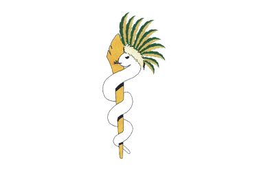 Tribal Health Initiative
