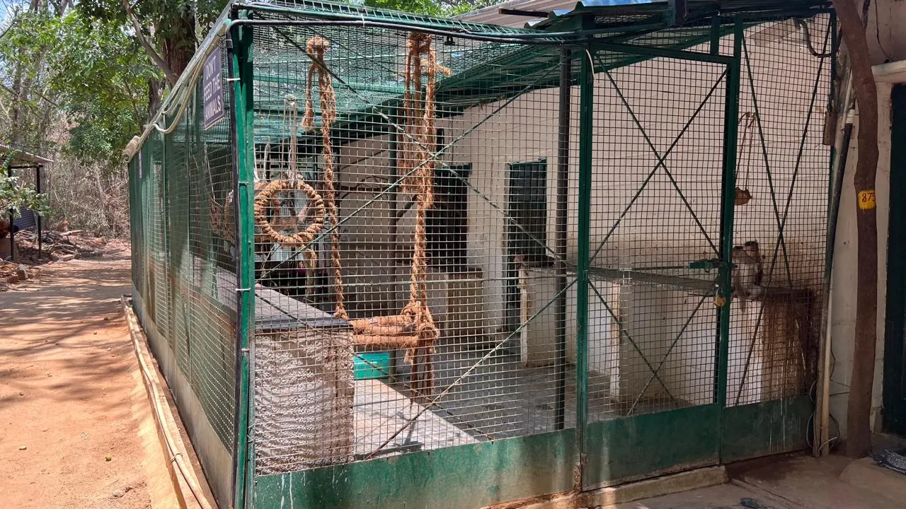 Wildlife rehabilitation at PfA